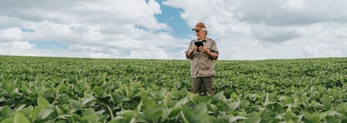 Agriculture-Banner-Crop-1680-601