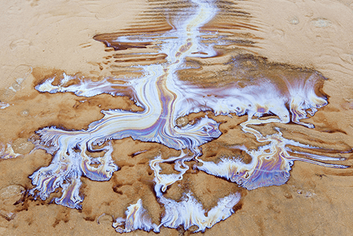New Film Shines Light on PFAS
