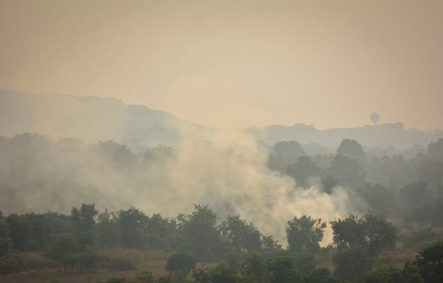 What to Know Heading into the Peak of Wildfire Season