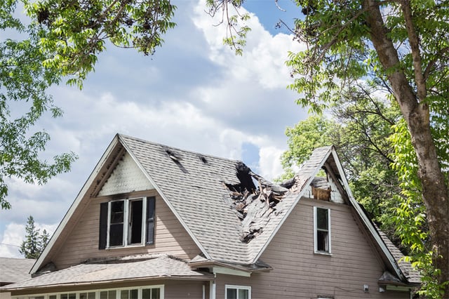 Reinsurance and the Home Insurance Marketplace Appetite | Outlook for 2025