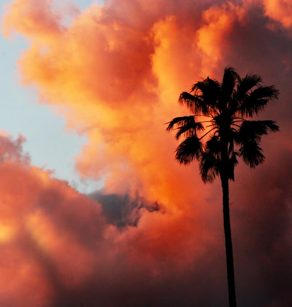California Wildfire Risk and Insurance: Key Info for Property Owners
