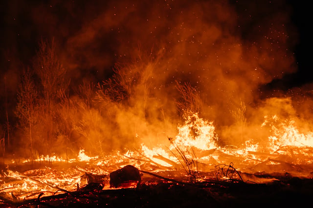 Wildfire Action Plans - Be Ready Before the Blaze