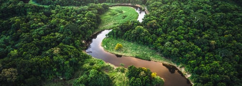 Packaged Environmental_footer