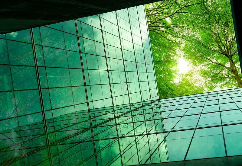 ecofriendly-building-green-tree-branches-800x550