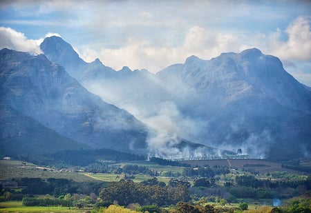 field-fire-vineyards-burning-800x550-1