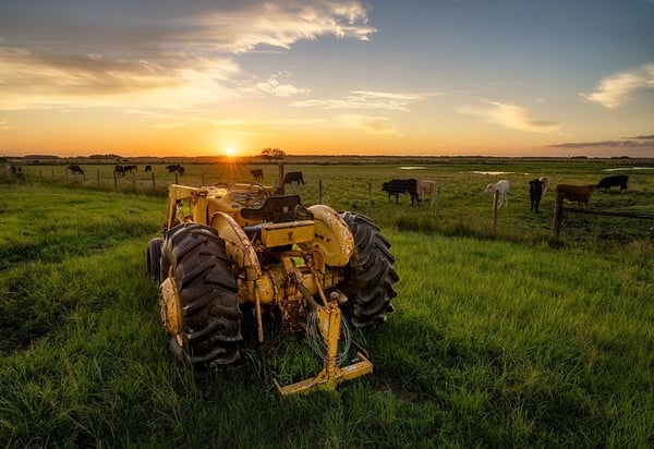 tractor-at-sunrise-800x550